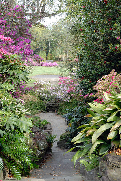 A Secluded trail at Bellingrath Gardens