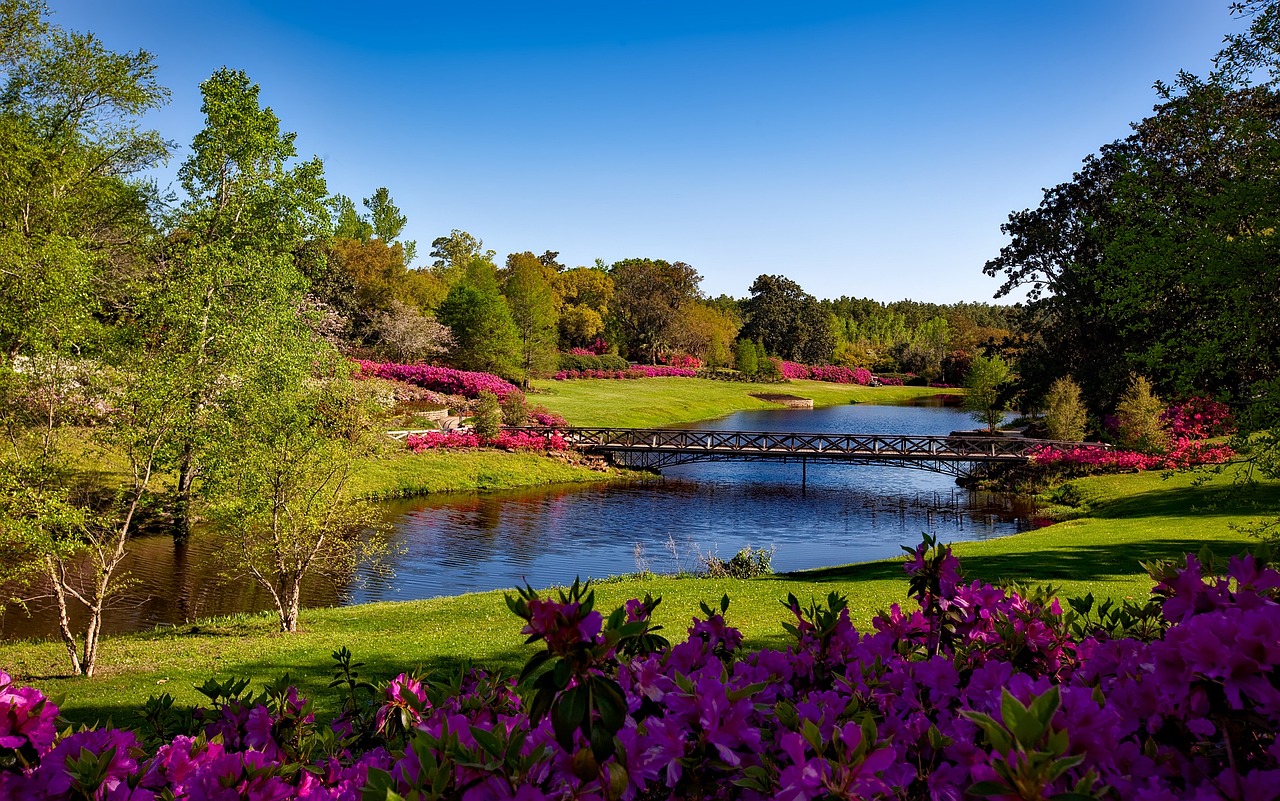 A Bellingrath Gardens View