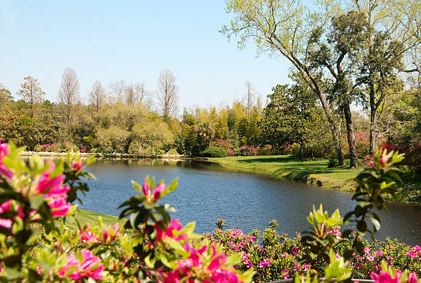 A Placid Lake at Bellingrath Gardens