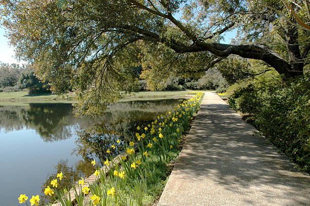 Sidewalk at the Bellingrath Gardens