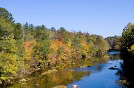 A view of Cahaba River