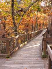 Trail Bridge at Cheaha State Park