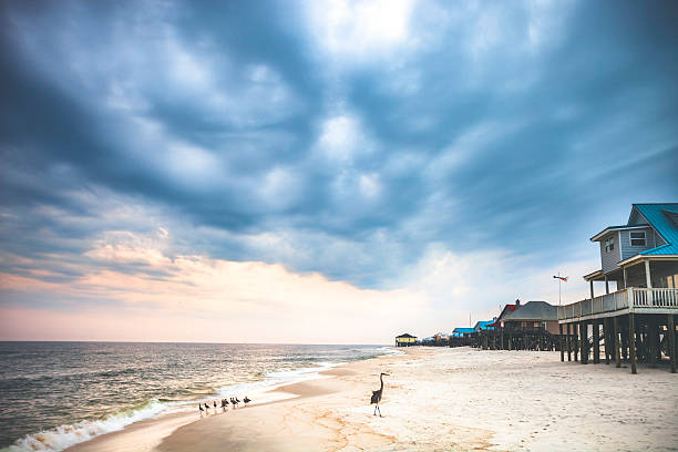 Dauphin Island Beach