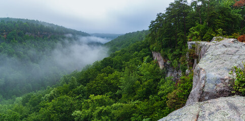 Little River scenery