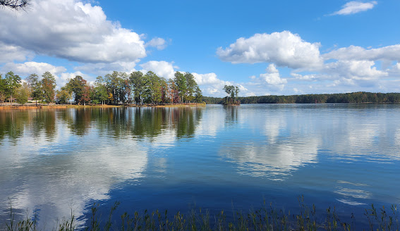 Lake Martin View