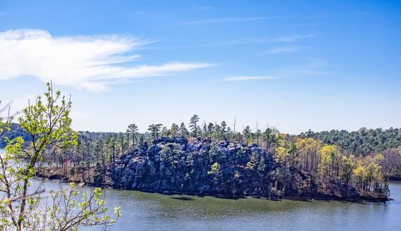 Lake Martin View