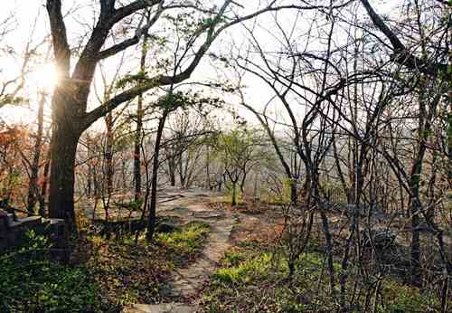 Lover's Leap in Bluff Park